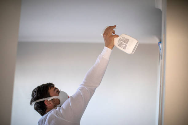 Professional Mold Removal in Allendale, SC