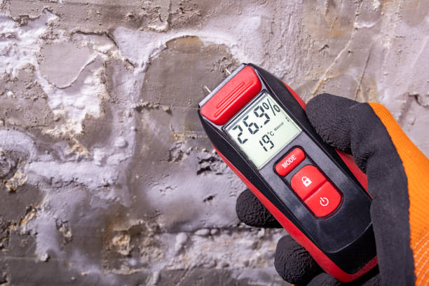 Best Commercial Mold Removal  in Allendale, SC