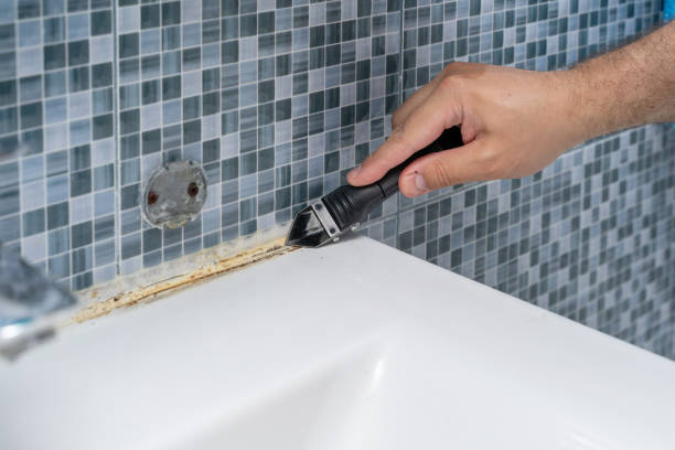 Best Certified Mold Removal  in Allendale, SC